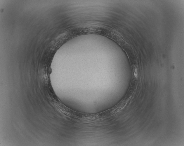 X0000074240771200609151710