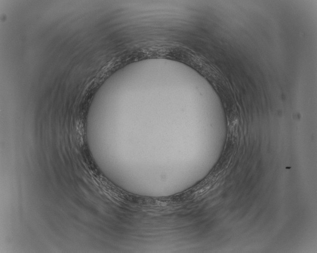 X0000074240772200609151710