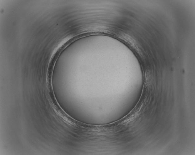 X0000074240780200609151710