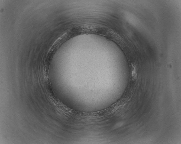 X0000074240819200609151709