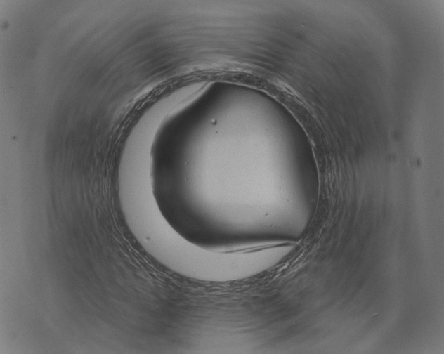 X0000074240822200609151709