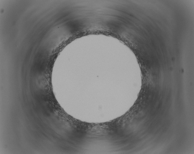 X0000074240824200609151709