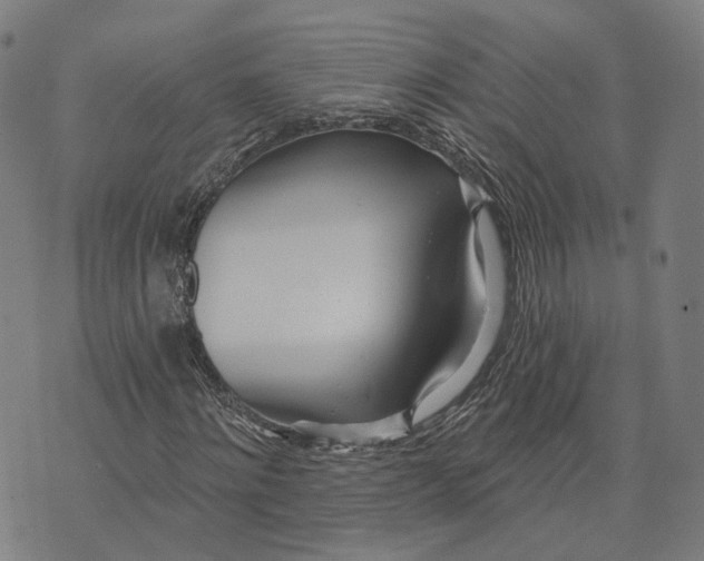X0000074240868200609151709