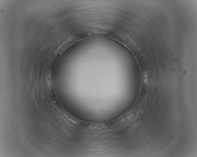 X0000074240915200609151707
