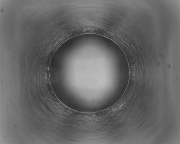 X0000074240916200609151707