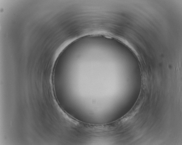 X0000074240959200609151708