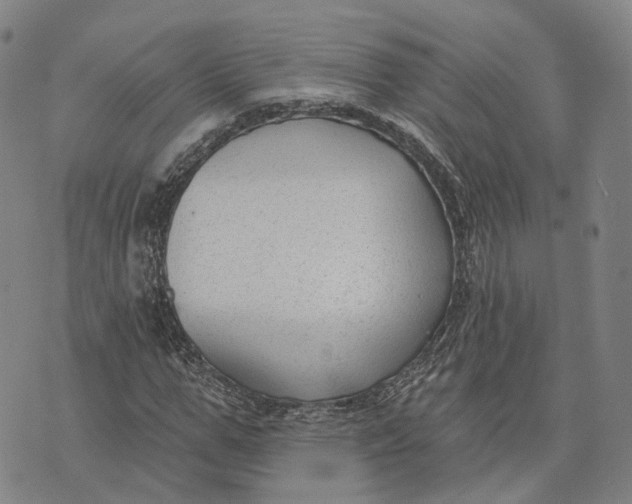 X0000074240967200609151707