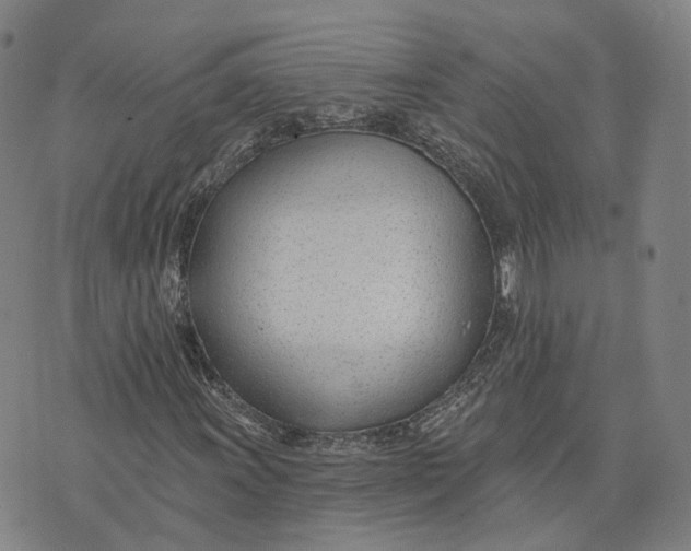 X0000074241011200609151706