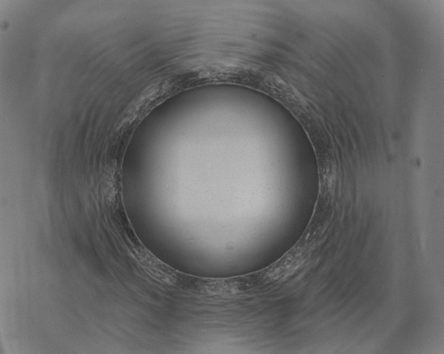 X0000074241012200609151706