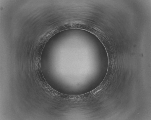 X0000074241014200609151706
