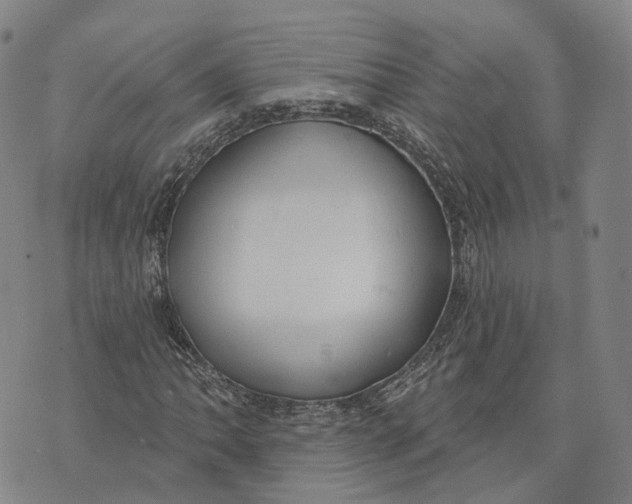 X0000074241062200609151705