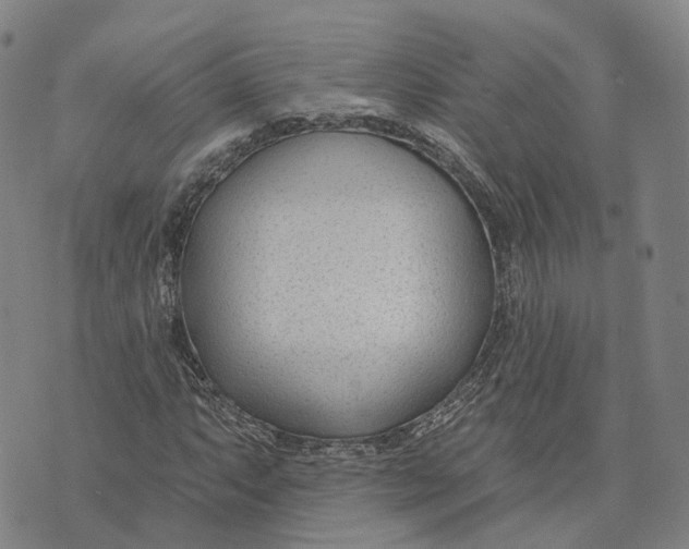 X0000074241063200609151705