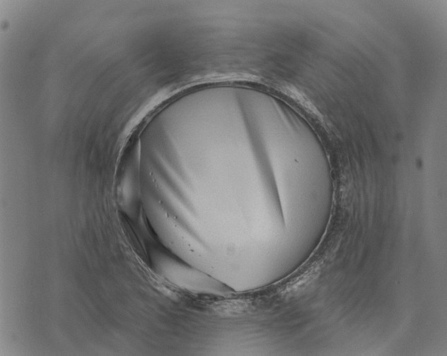 X0000074241173200609151704