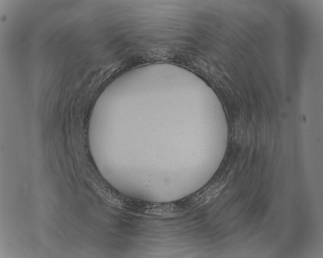 X0000074241201200609151702