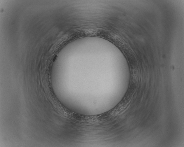 X0000074241249200609151702