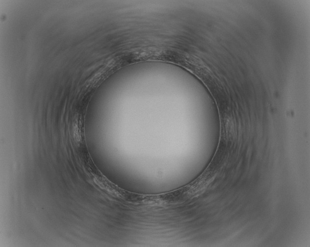 X0000074241250200609151702