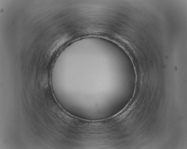 X0000074241306200609151701