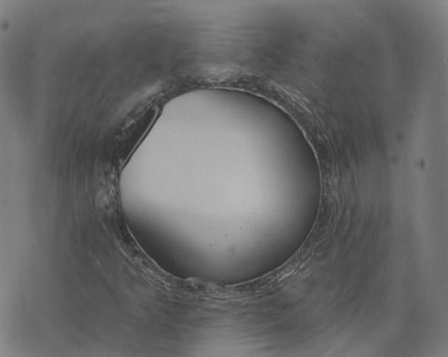 X0000074241349200609151701