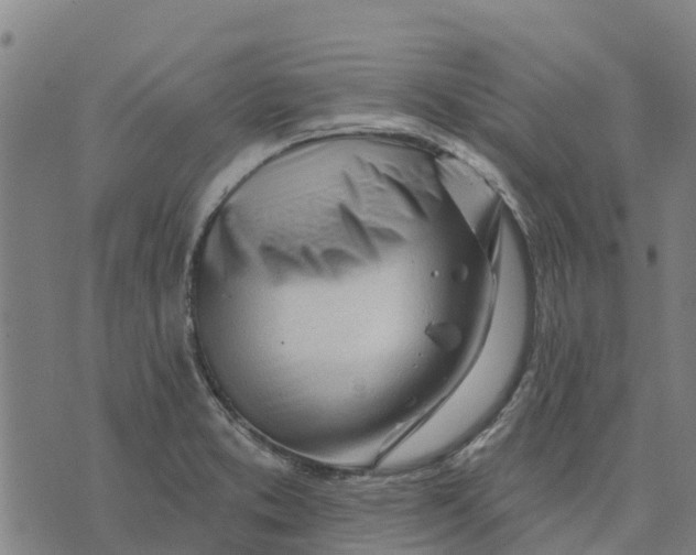 X0000074241373200609151700