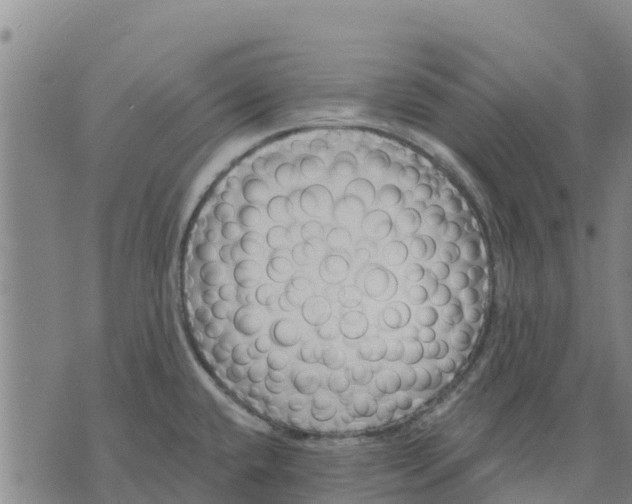 X0000074241432200609151700