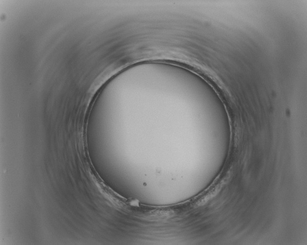 X0000074241513200609151658