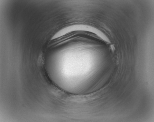 X0000074240029200609222111