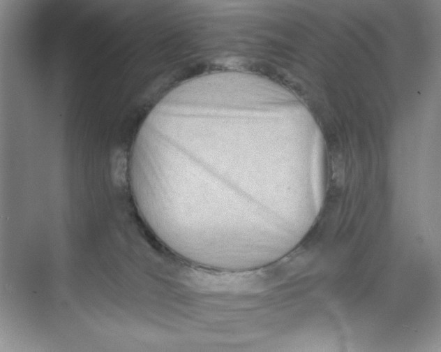 X0000074240036200609222110