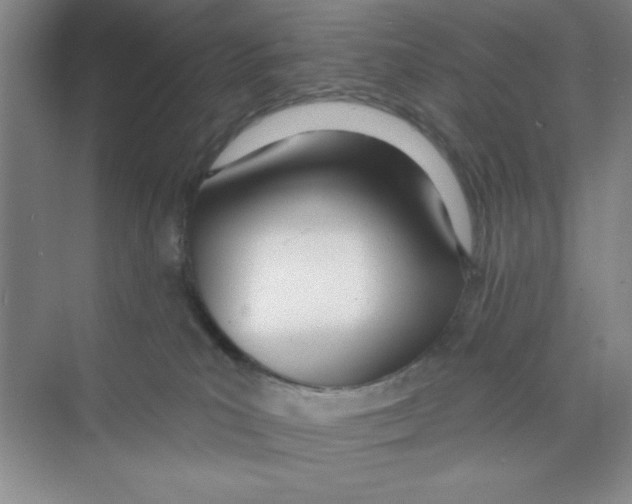 X0000074240039200609222110