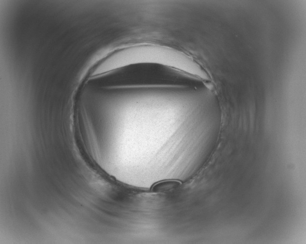 X0000074240054200609222109