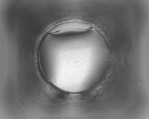 X0000074240055200609222109