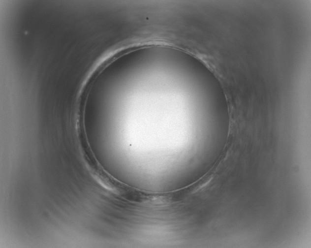 X0000074240056200609222109