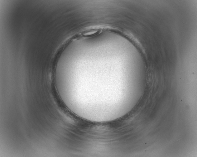 X0000074240063200609222110