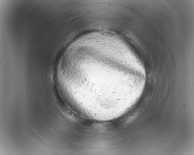 X0000074240072200609222110