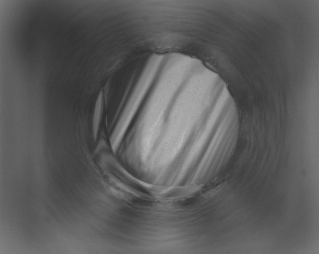 X0000074240076200609222110