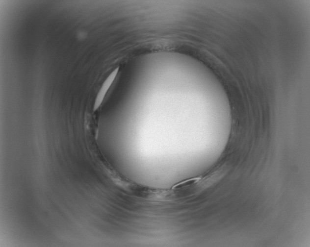 X0000074240096200609222110