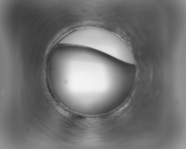 X0000074240101200609222109