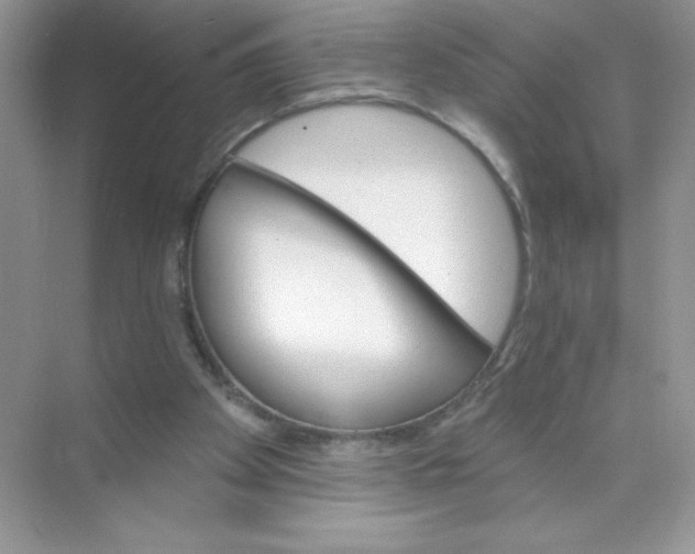 X0000074240105200609222109