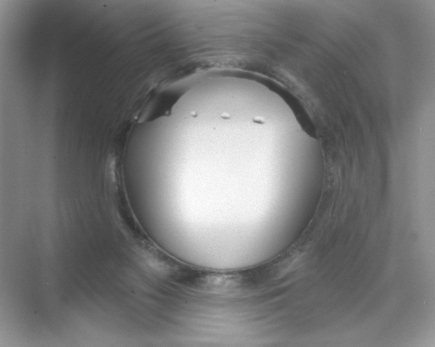 X0000074240117200609222109
