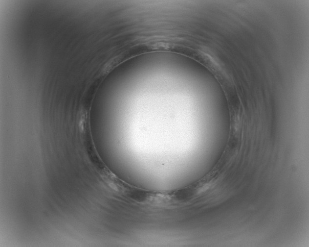 X0000074240125200609222109
