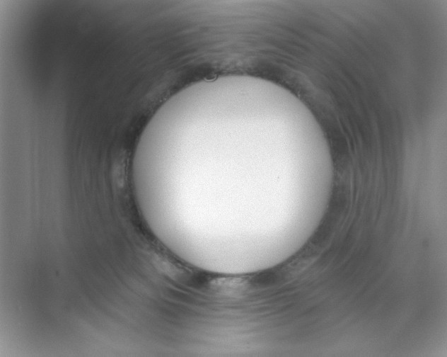 X0000074240133200609222109