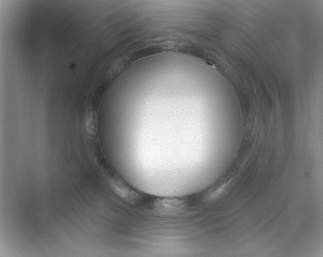 X0000074240137200609222109