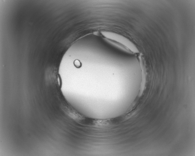 X0000074240141200609222109
