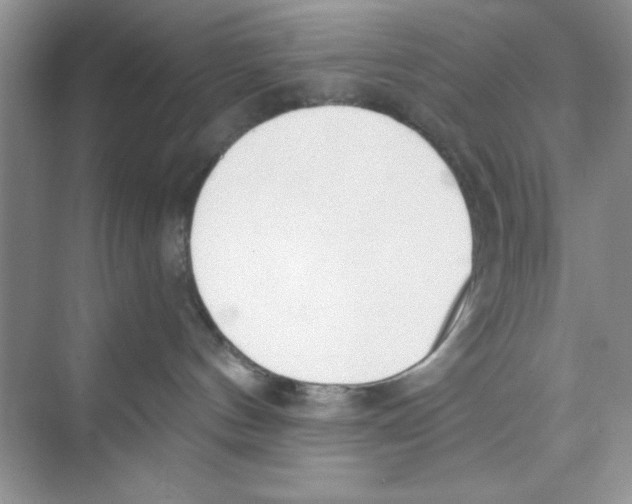 X0000074240144200609222109