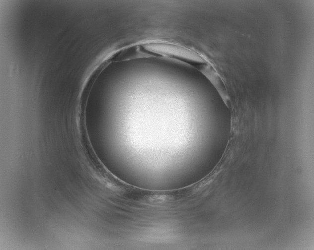 X0000074240152200609222108