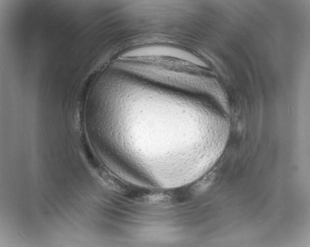 X0000074240158200609222108