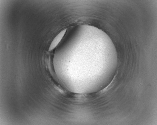 X0000074240192200609222109