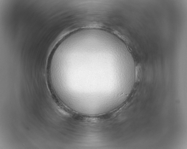 X0000074240195200609222108