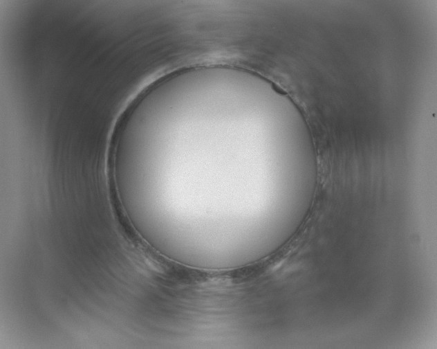 X0000074240196200609222108