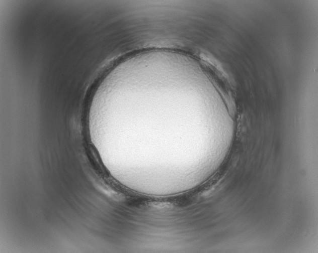 X0000074240203200609222108