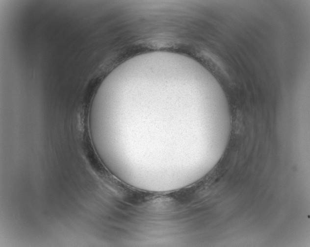 X0000074240210200609222107